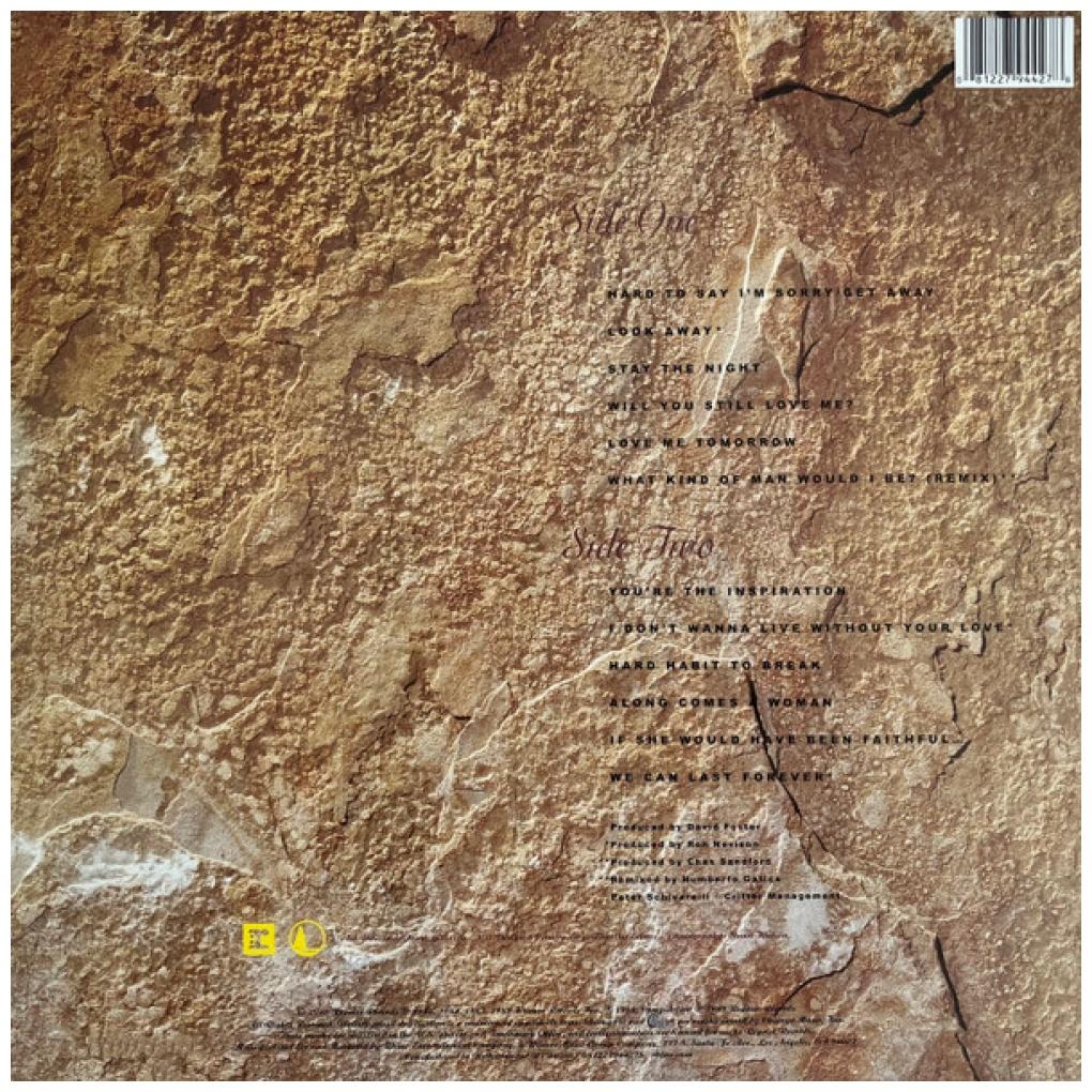 CHICAGO - GREATEST HITS 1982-1989 | VINILO