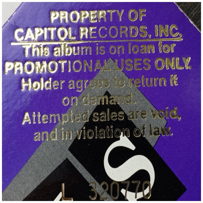 MOTELS - LITTLE ROBERTS | VINILO USADO