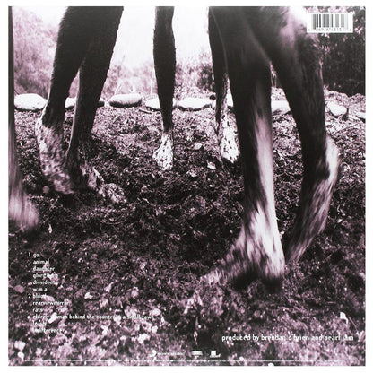PEARL JAM - VS | VINILO