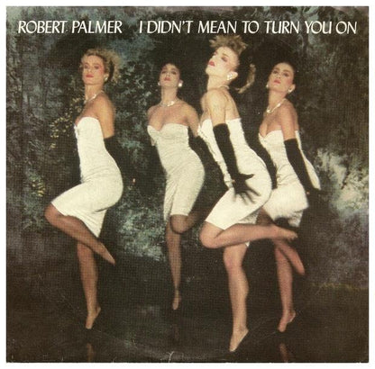 ROBERT PALMER - I DIDN T MEAN TO TURN YOU ON | 7" SINGLE VINILO USADO