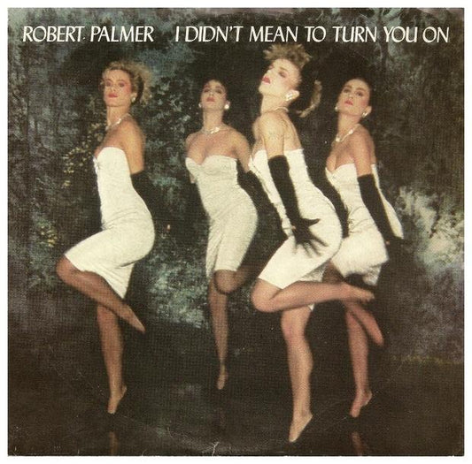 ROBERT PALMER - I DIDN T MEAN TO TURN YOU ON | 7" SINGLE VINILO USADO