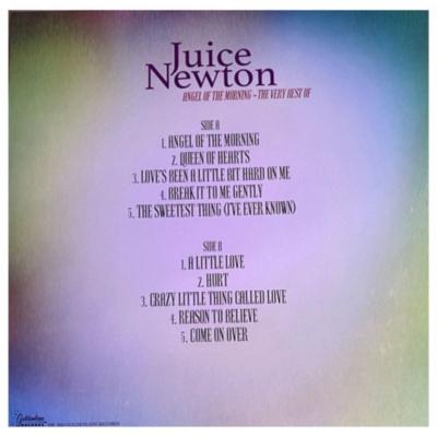 JUICE NEWTON - THE VERY BEST OF | VINILO