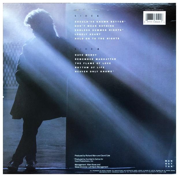 RICHARD MARX - RICHARD MARX | VINILO USADO