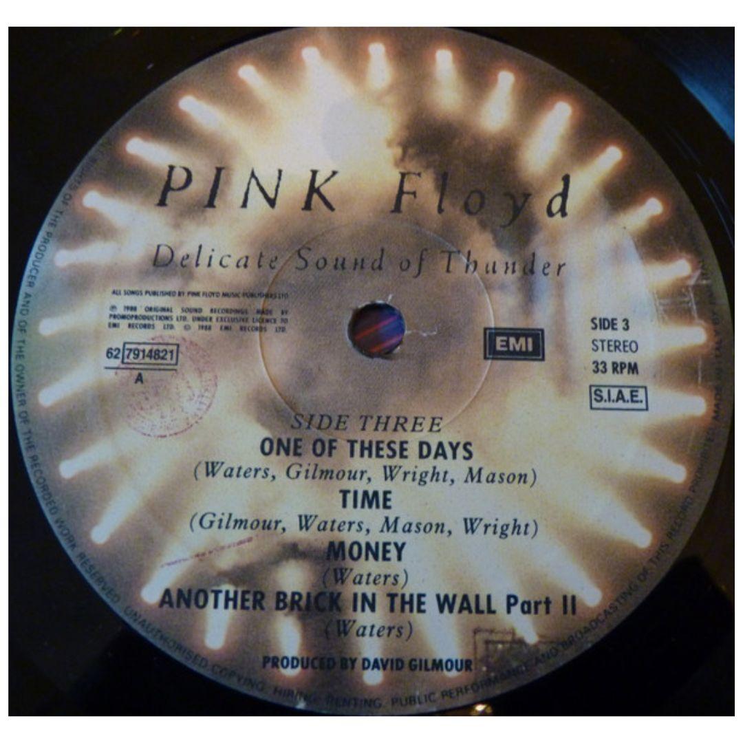 PINK FLOYD - DELICATE SOUND OF A THUNDER (2LP) | VINILO
