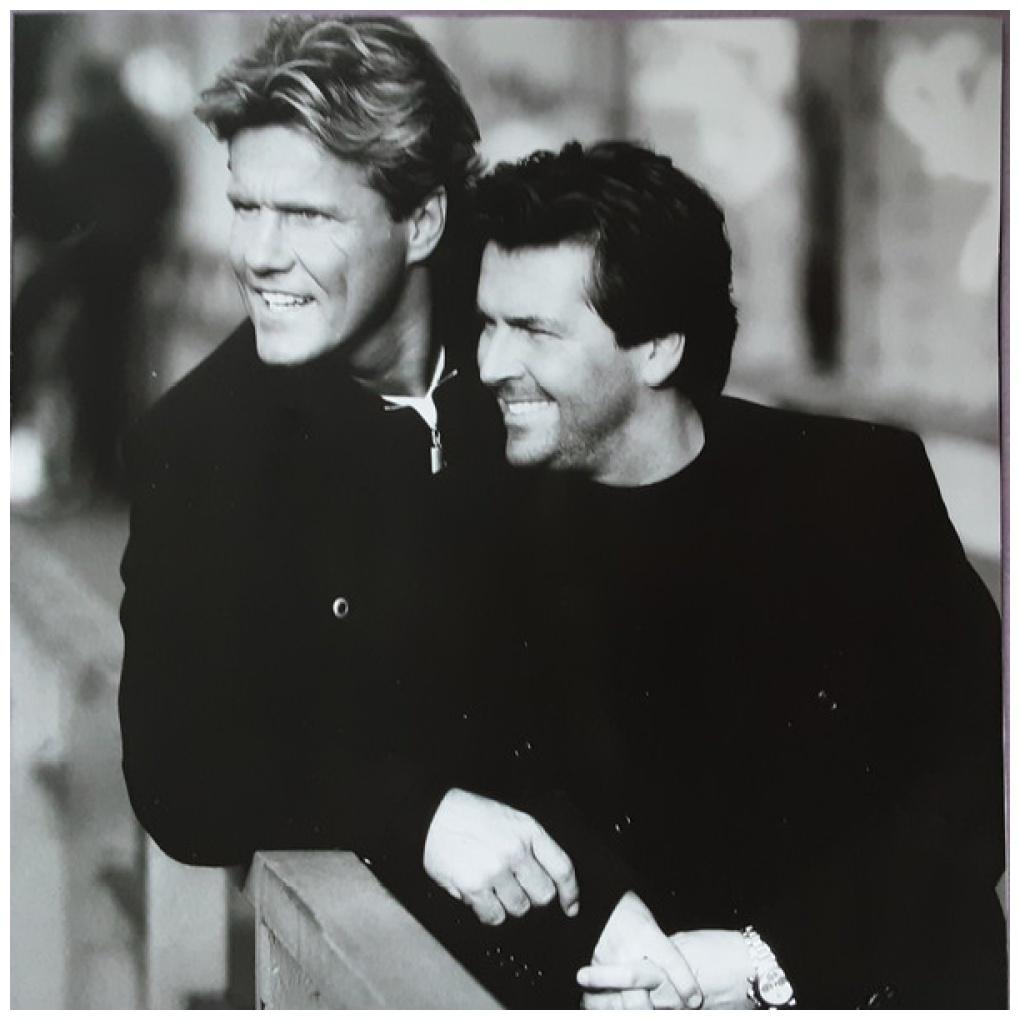 MODERN TALKING - BACK FOR GOOD (180GRS) (BLACK & WHITE MARBLED VINYL) (2LP) | VINILO