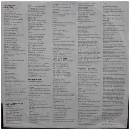 MICHAEL BOLTON - SOUL PROVIDER | VINILO USADO