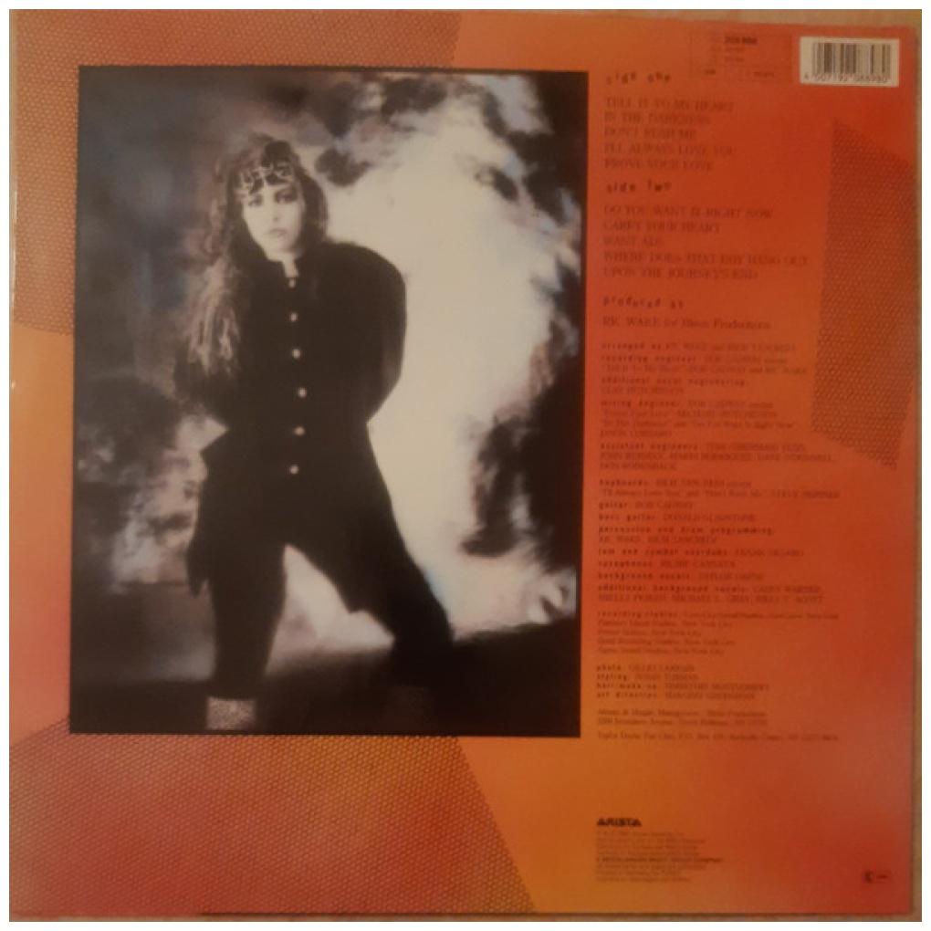 TAYLOR DAYNE - TELL IT TO MY HEART | VINILO USADO