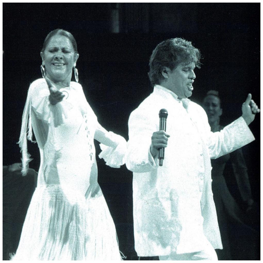 JUAN GABRIEL - 25 AÑOS: EN EL PALACIO DE BELLAS ARTES (2CD) | CD