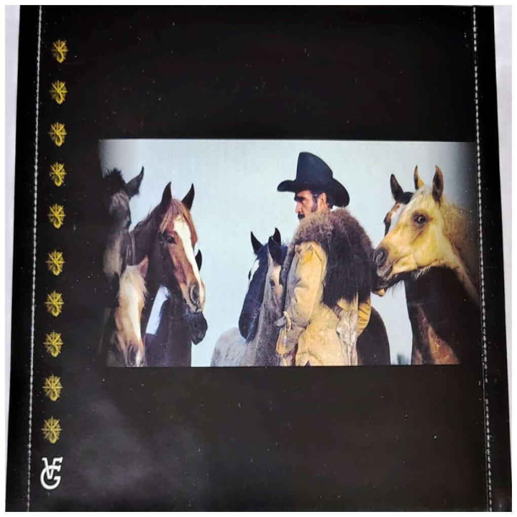 VICENTE FERNANDEZ - HISTORIA DE UN IDOLO VOL. 1 | CD