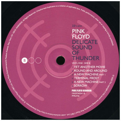 PINK FLOYD  - DELICATE SOUND OF THUNDER (3LP) (RESTORED/RE-EDITED) | VINILO