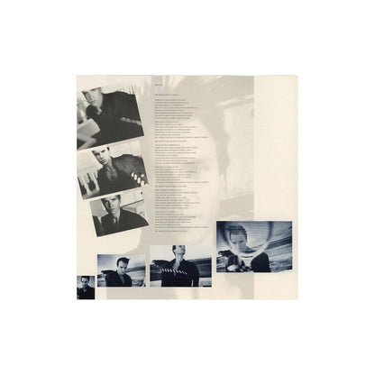 STING - THE DREAM OF THE BLUE TURTLES  | VINILO USADO