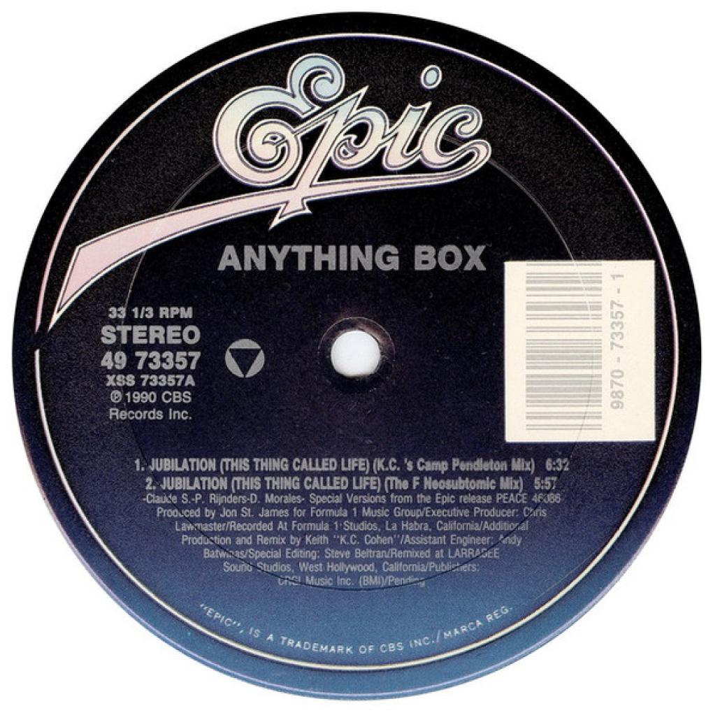 ANYTHING BOX - JUBILATION (THIS THING CALLED LIFE) | 12'' MAXI SINGLE USADO