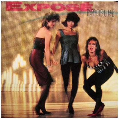 EXPOSÉ - EXPOSURE | VINILO USADO