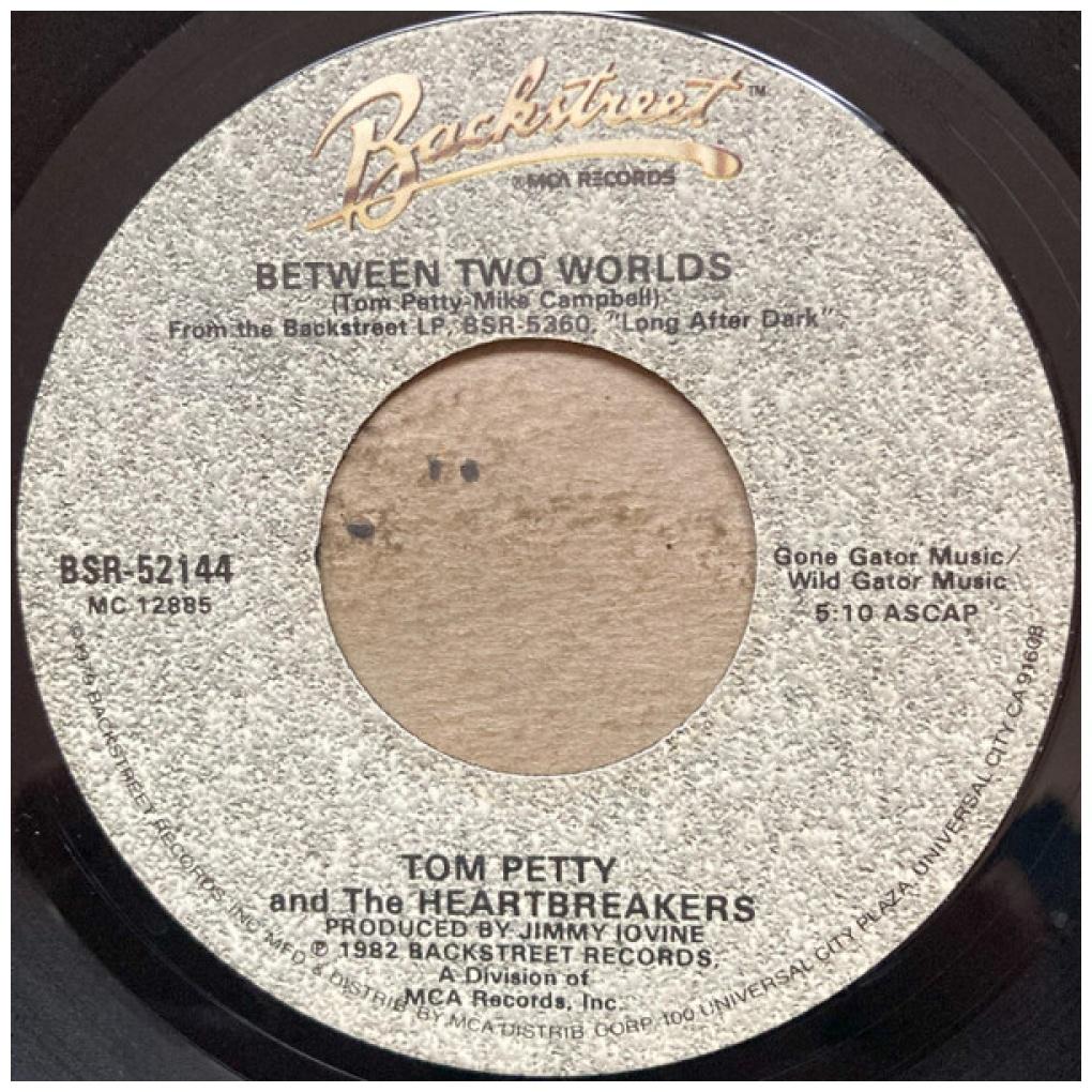 TOM PETTY - YOU GOT LUCKY | 7" SINGLE USADO