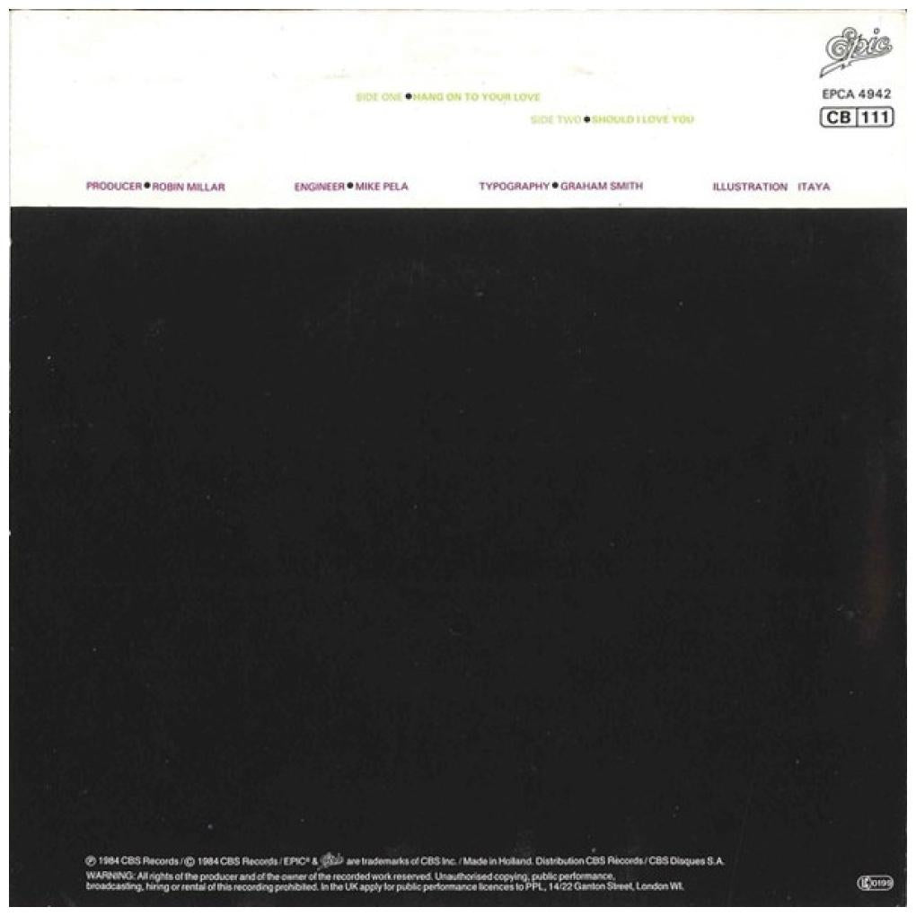 SADE - HANG ON TO YOUR LOVE | 7" SINGLE USADO