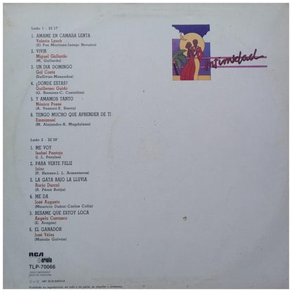 INTIMIDAD - VARIOUS ARTIST | VINILO USADO