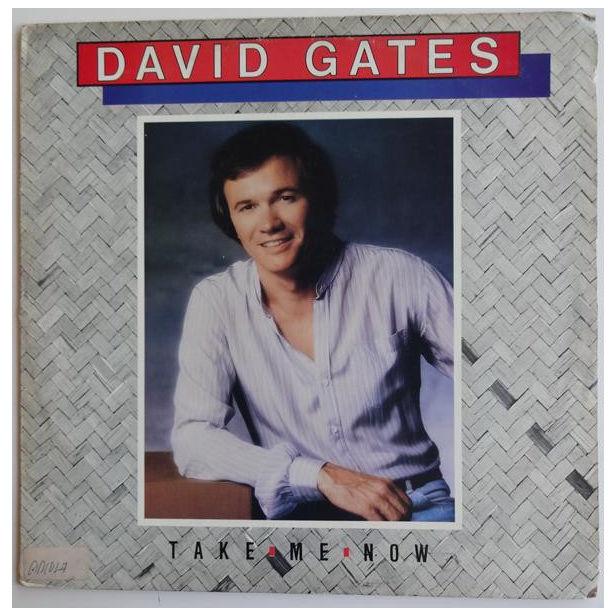 DAVID GATES - TAKE ME NOW | VINILO USADO