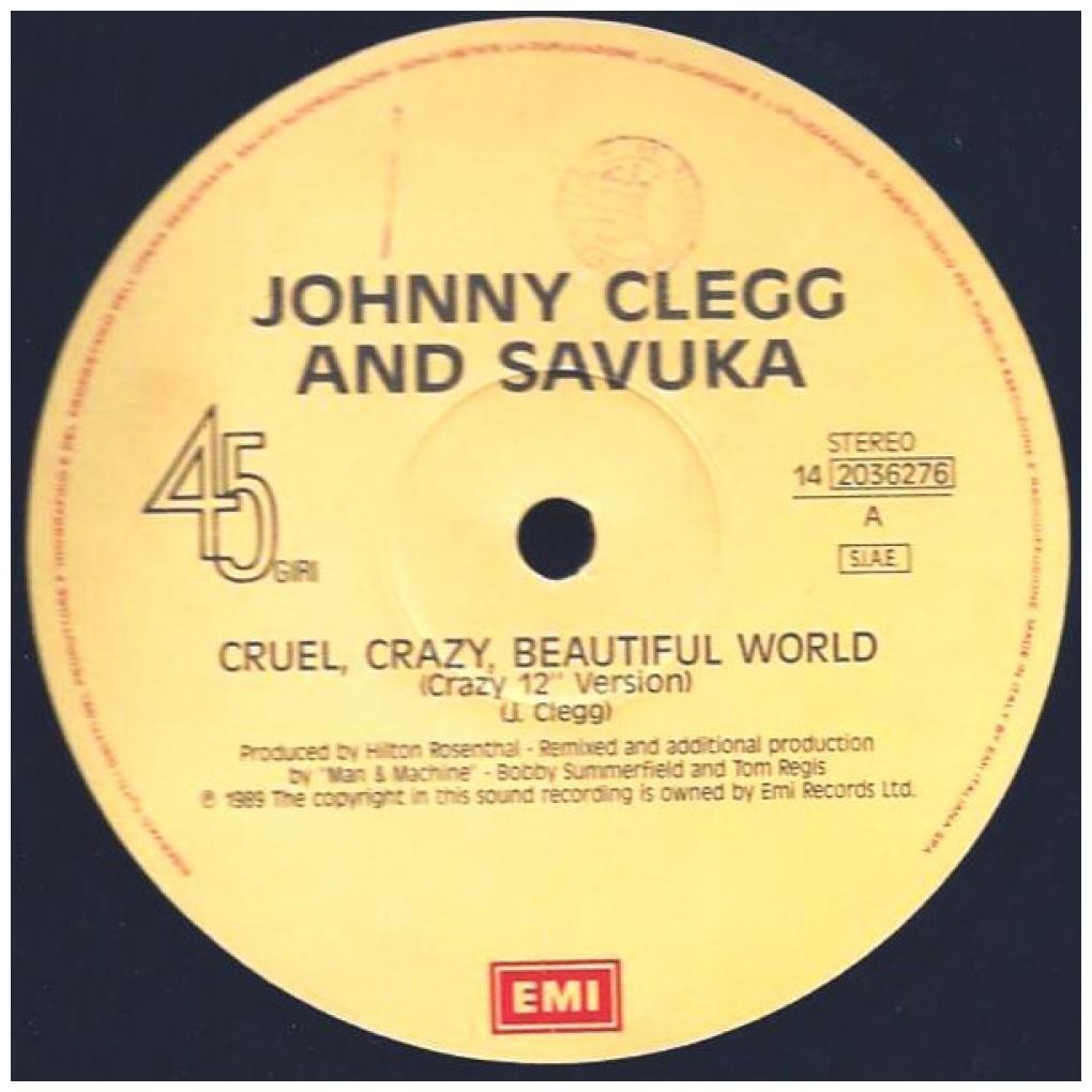 JOHNNY CLEGG & SAVUKA - CRUEL, CRAZY, BEAUTIFUL WORLD | 12'' MAXI SINGLE USADO