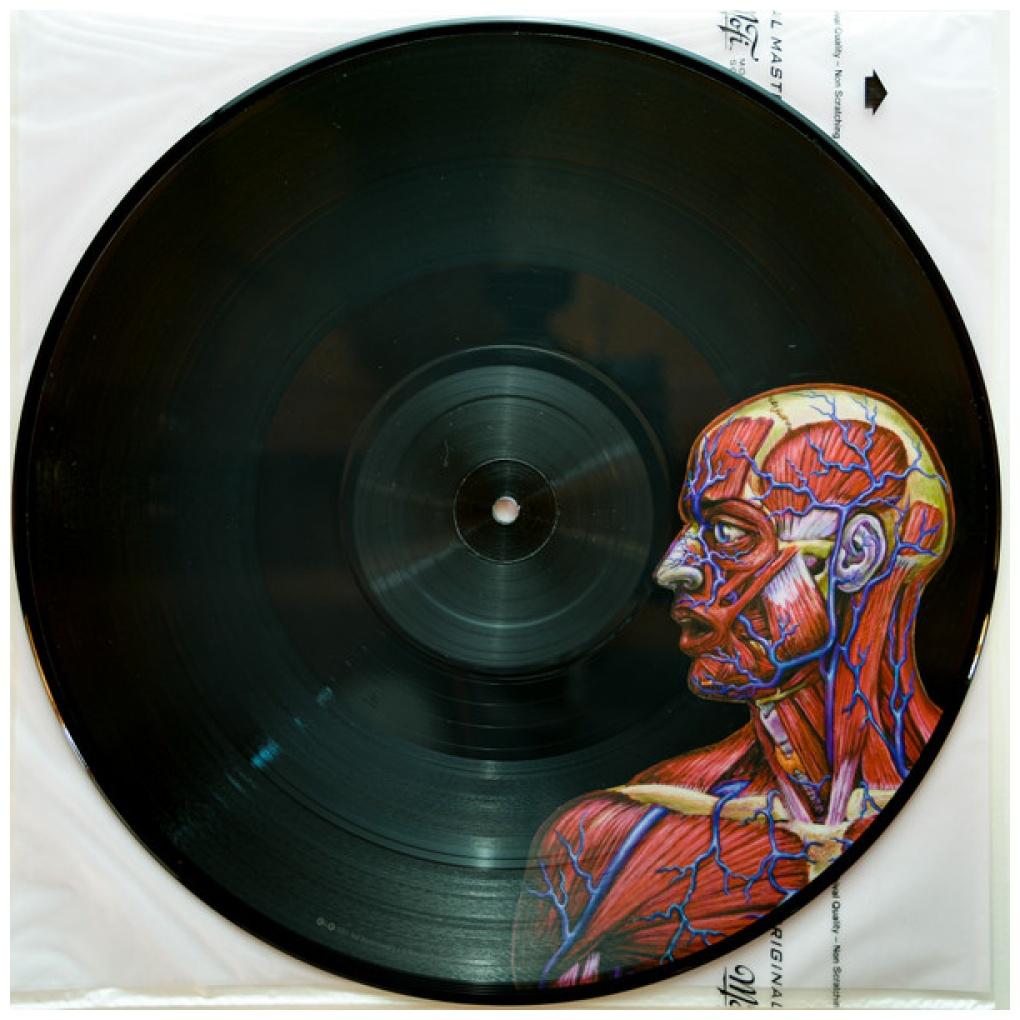 TOOL - LATERALUS (2LP) (PICTURE DISC) (4 IMAGES/HOLOGRAPHIC GATEFOLD) | VINILO