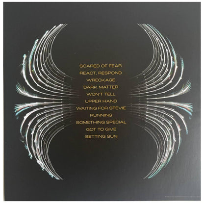 PEARL JAM - DARK MATTER | VINILO