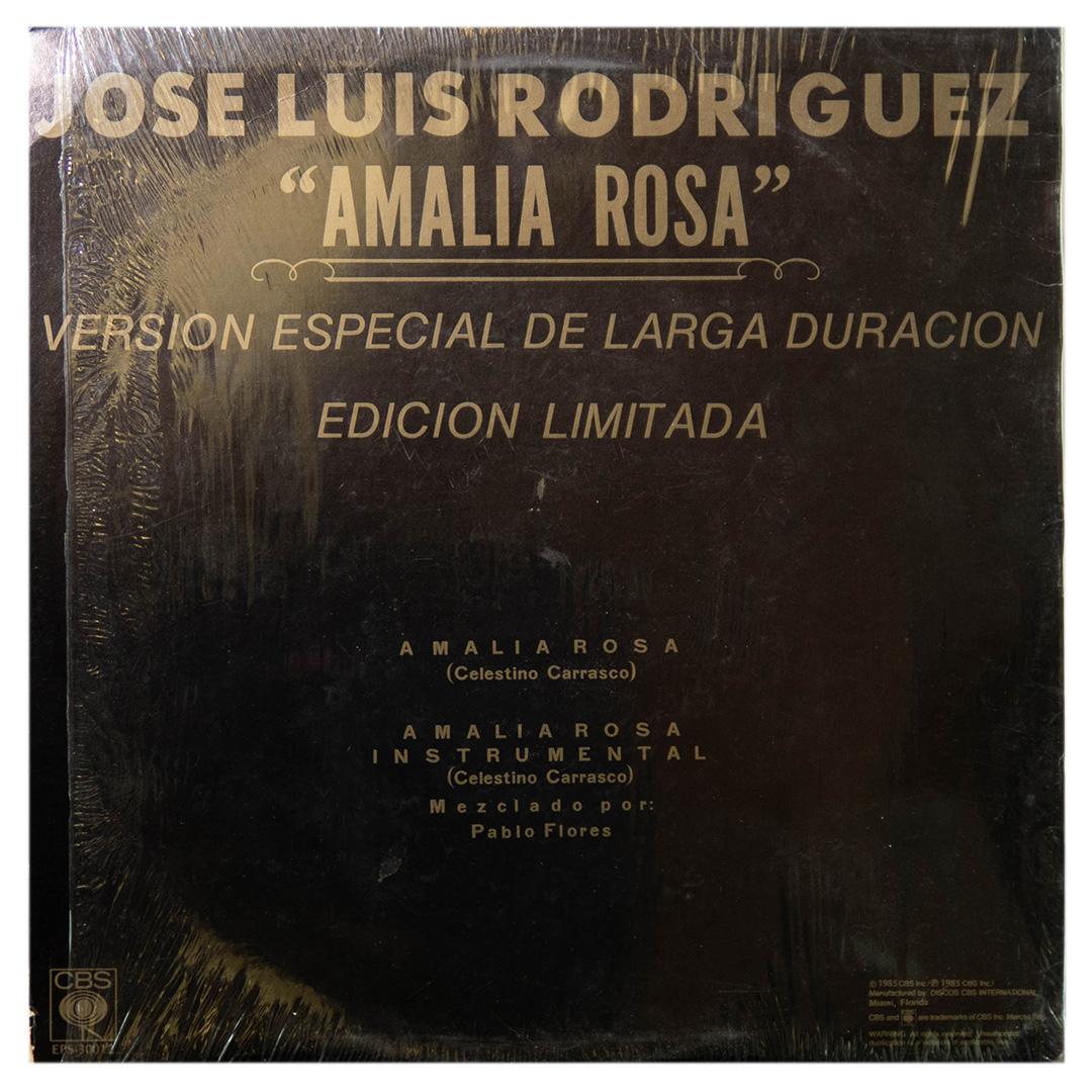 JOSE LUIS RODRIGUEZ - AMALIA ROSA | 12" MAXI SINGLE USADO