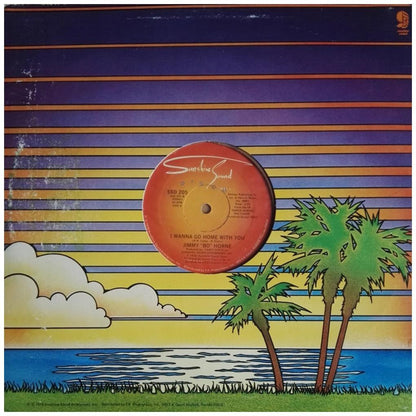 JIMMY "BO" HORNE - SPANK | 12'' MAXI SINGLE USADO