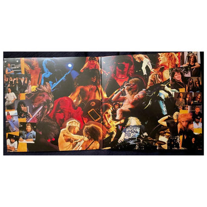 GUNS N  ROSES - USE YOUR ILLUSION I (2LP) | VINILO