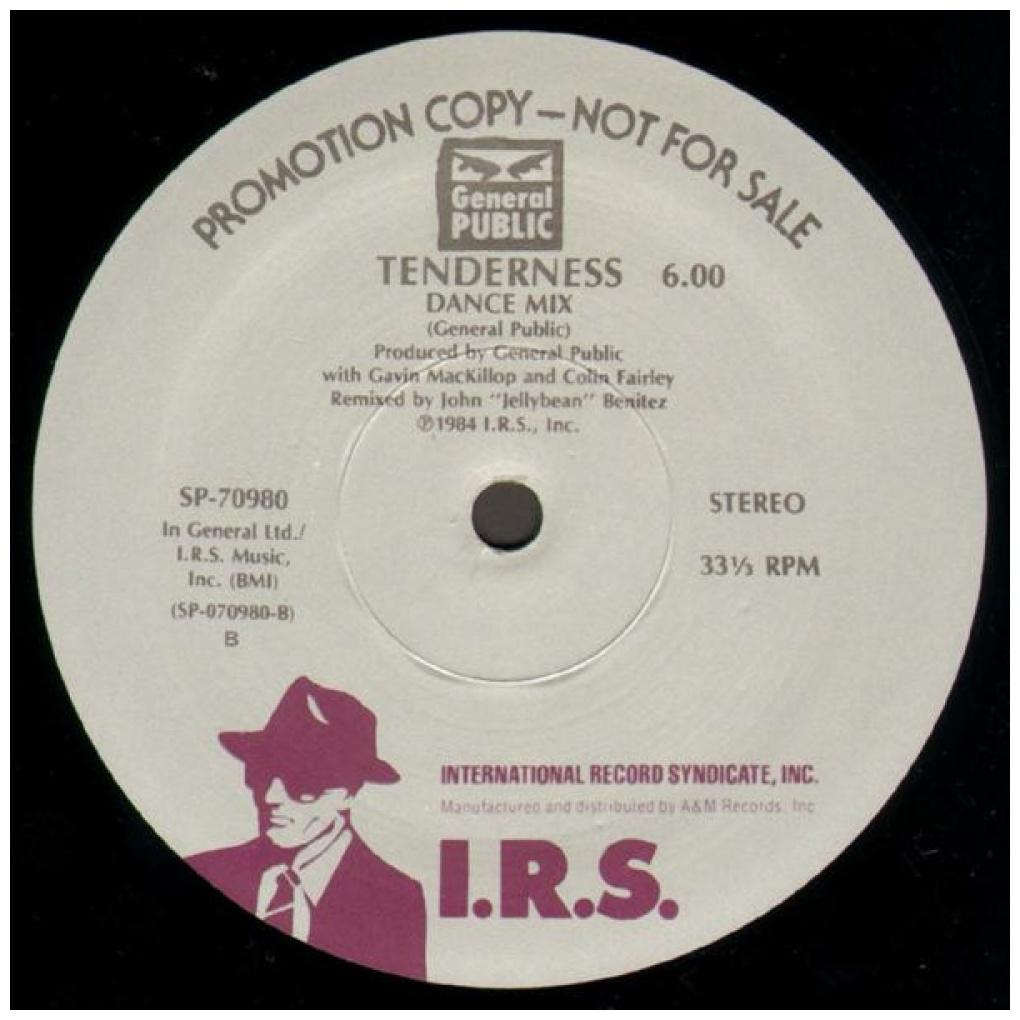 GENERAL PUBLIC - TENDERNESS | 12'' MAXI SINGLE USADO