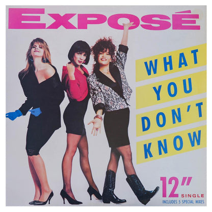 EXPOSE - WHAT YOU DONT KNOW | 12 MAXI SINGLE USADO