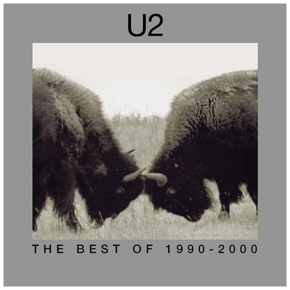 U2 - BEST OF 1990-2000 (2LP) | VINILO
