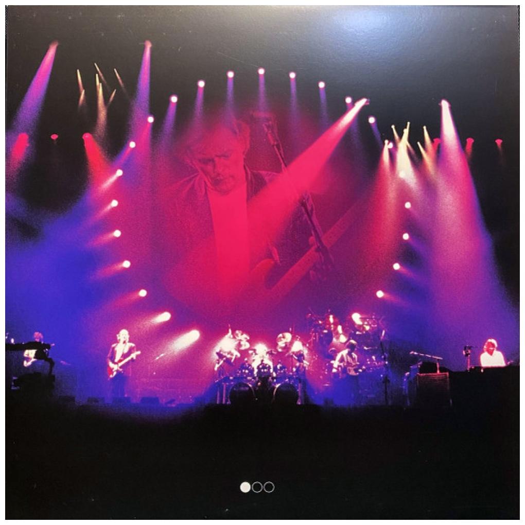 PINK FLOYD  - DELICATE SOUND OF THUNDER (3LP) (RESTORED/RE-EDITED) | VINILO