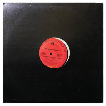 THE WEATHER GIRLS - IT S A RAINING MEN | 12" MAXI SINGLE USADO