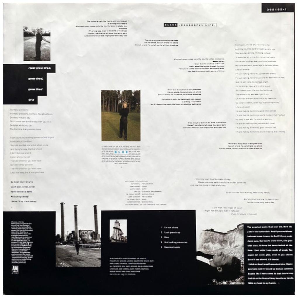 BLACK - WONDERFUL LIFE | VINILO USADO