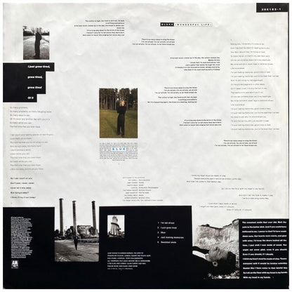 BLACK - WONDERFUL LIFE | VINILO USADO