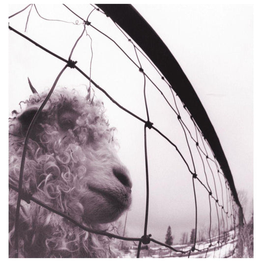 PEARL JAM - VS | VINILO