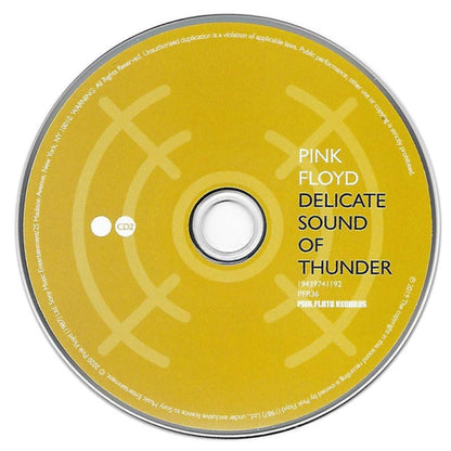 PINK FLOYD - DELICATE SOUND OF THUNDER (2CD) | CD