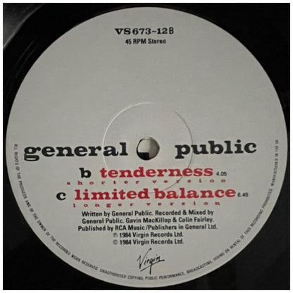 GENERAL PUBLIC - TENDERNESS | 12" MAXI SINGLE VINILO USADO