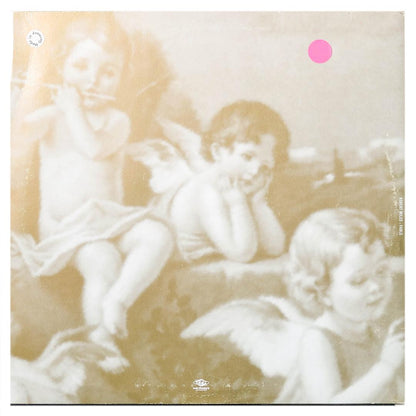 ROBERT MILES - FABLE (2LP) | 12" MAXI SINGLE USADO