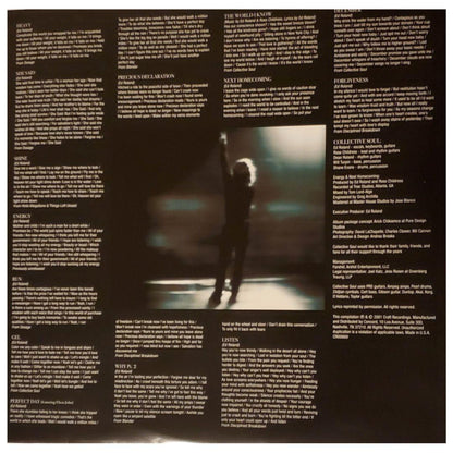 COLLECTIVE SOUL - GREATEST HITS 1994 - 2001 | VINILO