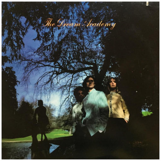 DREAM ACADEMY - THE DREAM ACADEMY | VINILO USADO