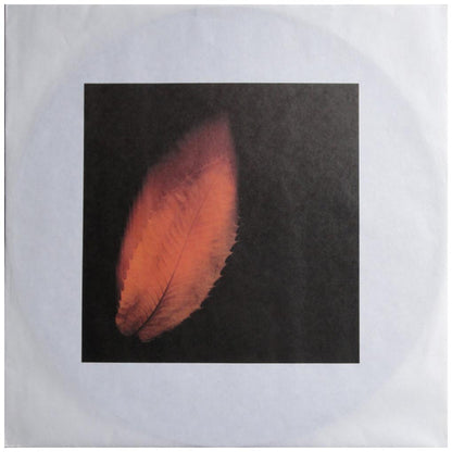 PETER GABRIEL - SHAKING THE TREE: TWELVE GOLDEN GREATS | VINILO USADO