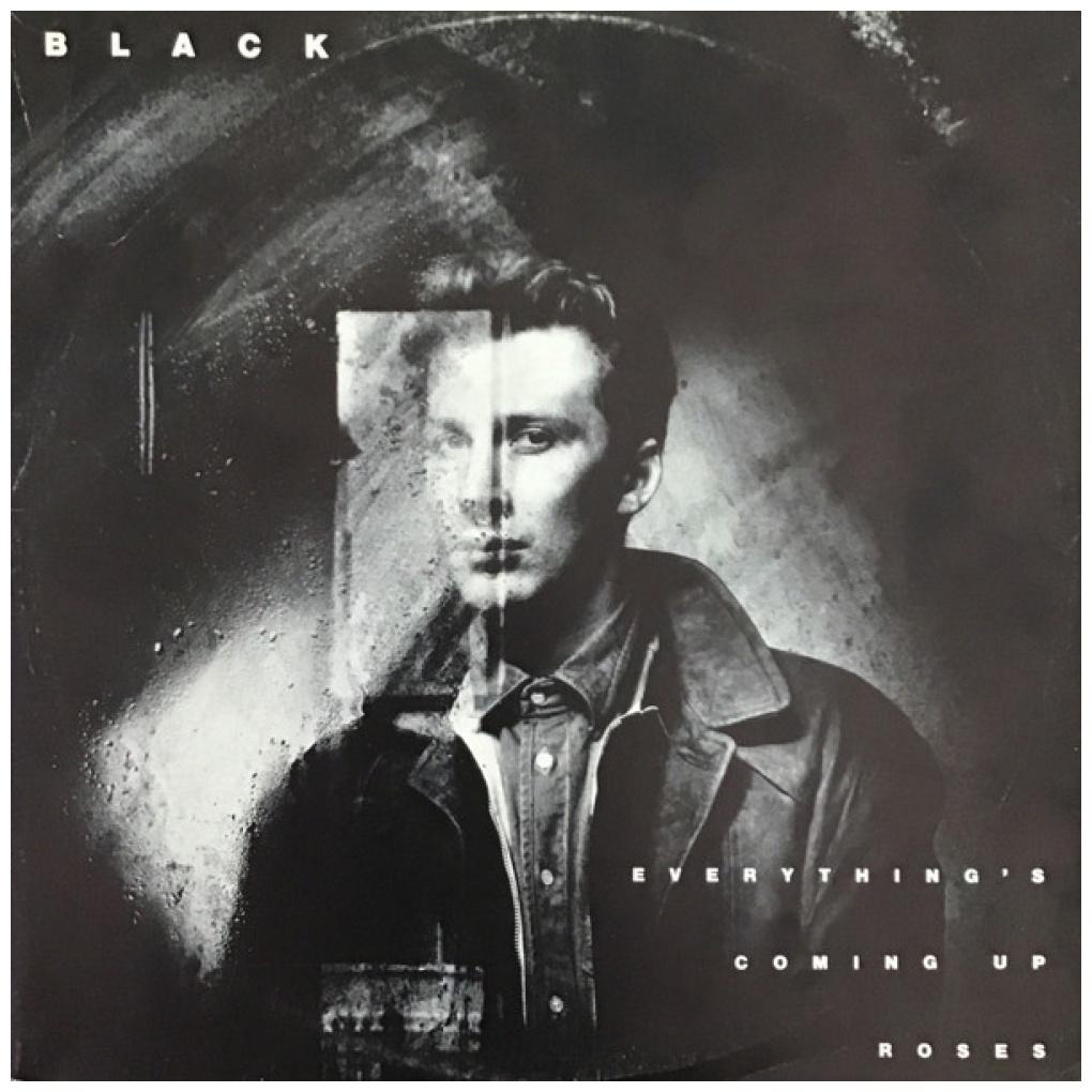BLACK - EVERYTHING'S COMING UP ROSES | 12'' MAXI SINGLE USADO