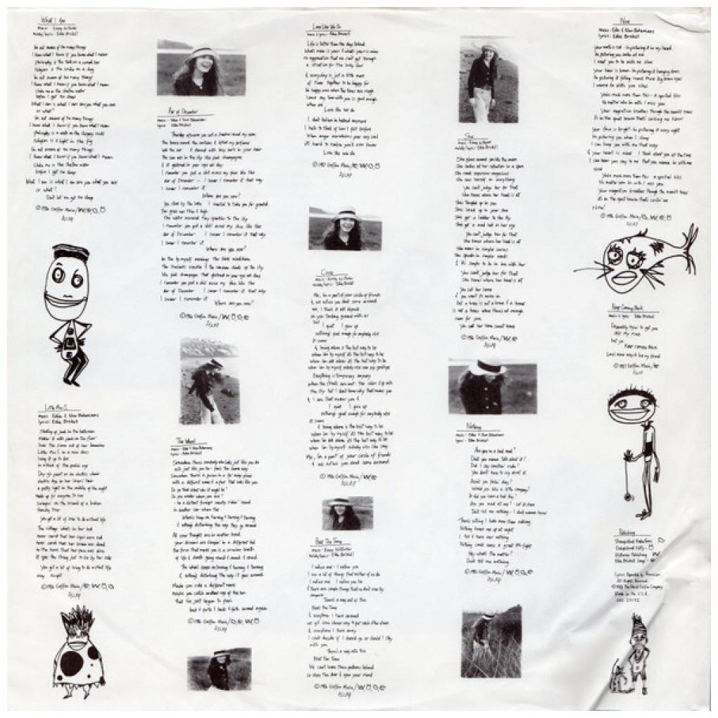 EDIE BRICKELL & THE NEW BOHEMIANS - SHOOTING RUBBERBANS AT THE STARS | VINILO USADO