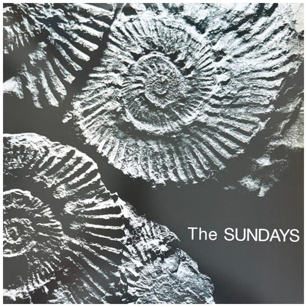 SUNDAYS - READING, WRITING & ARITHMETIC | VINILO