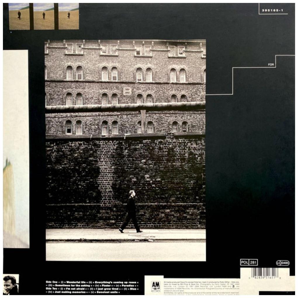 BLACK - WONDERFUL LIFE | VINILO USADO