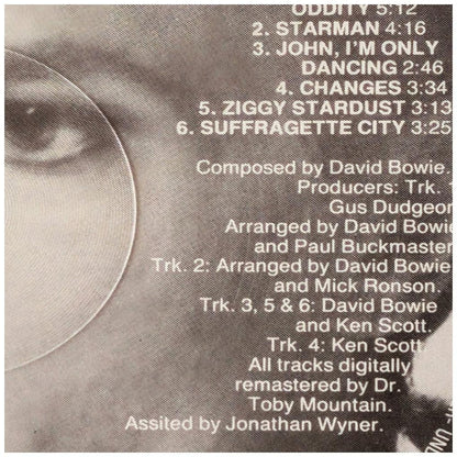 DAVID BOWIE - CHANGESBOWIE (2LP) | VINILO USADO