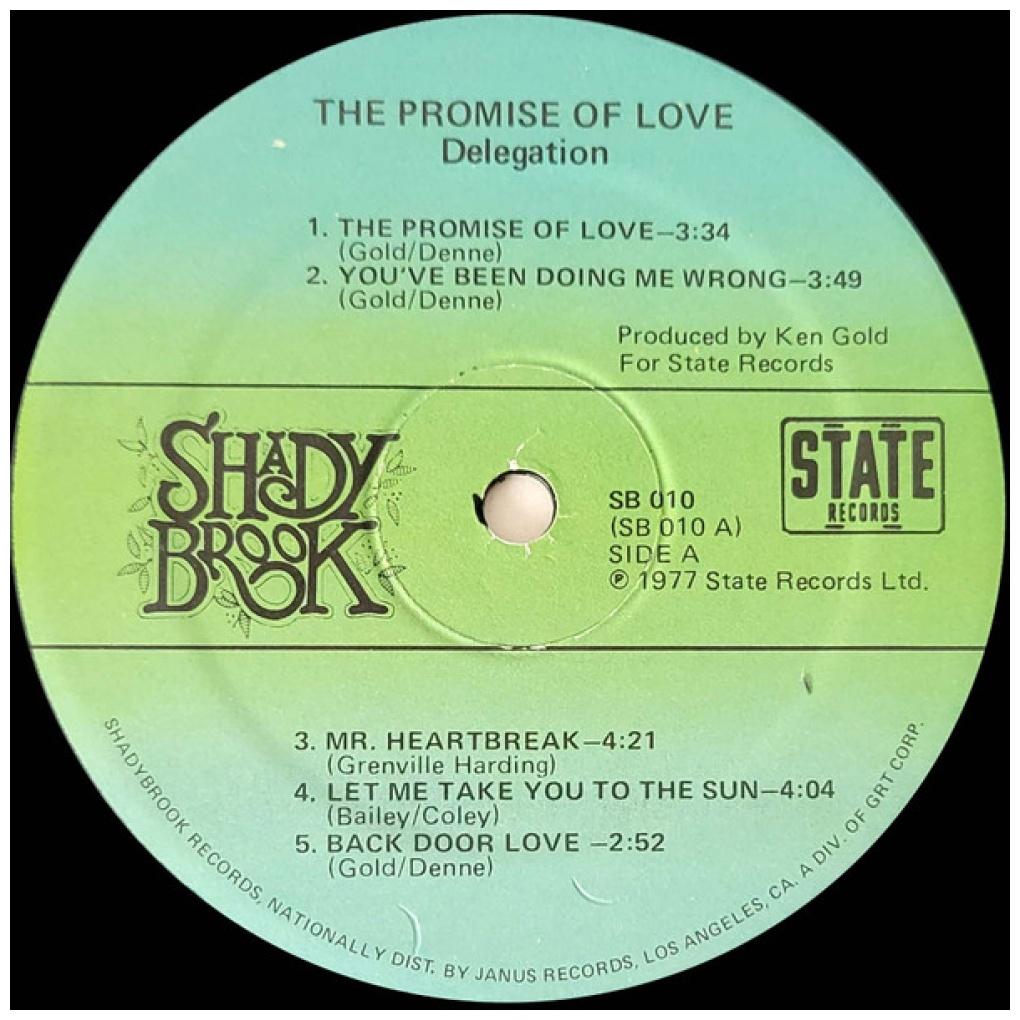 DELEGATION - THE PROMISE OF LOVE | VINILO USADO