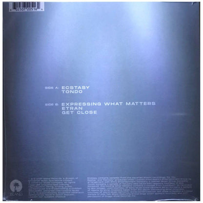 DISCLOSURE - ECSTASY | VINILO