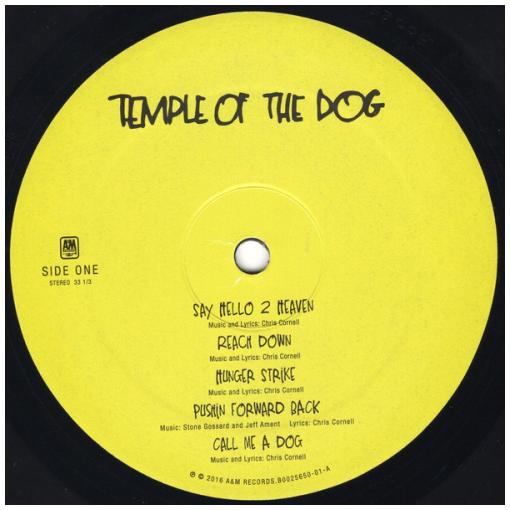 TEMPLE OF THE DOG - TEMPLE OF THE DOG | VINILO