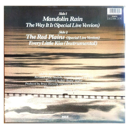 BRUCE HORNSBY AND THE RANGE - MANDOLIN RAIN | 12" MAXI SINGLE USADO